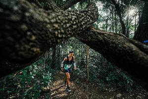 BIB: 
                            <button type="button" onclick="openModal(25663162)" class="btn btn-primary btn-sm float-right btn-popup" data-toggle="modal" data-target=".modal-high-quality">
                        <i class="fas fa-shopping-cart"></i> Add to Cart
                    </button>
                                            <button type="button" onclick="isThisMe(25663162, true)" class="btn btn-success btn-sm float-right btn-popup btn-isme hidden" data-toggle="tooltip" data-placement="bottom" title="นี่คือรูปของคุณใช่ไหม คลิกที่นี่เพื่อเอาเข้าอัลบั้ม">
                        <i class="fas fa-plus"></i> Add to album
                    </button>
                    <button type="button" onclick="isThisMe(25663162, false)" class="btn btn-warning btn-sm float-right btn-popup btn-isnotme hidden">
                        <i class="fas fa-ban"></i> Remove from album
                    </button>